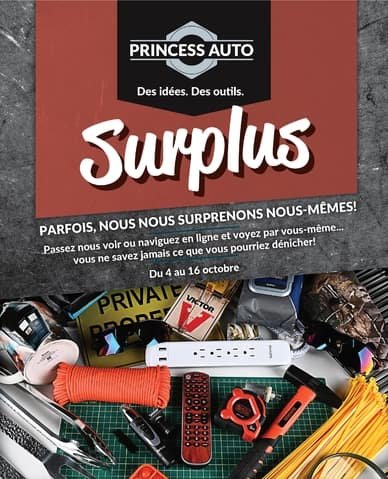 Princess Auto Surplus