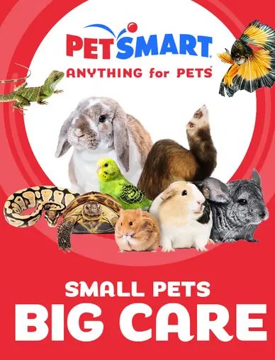 PetSmart Small Pets, Big Care