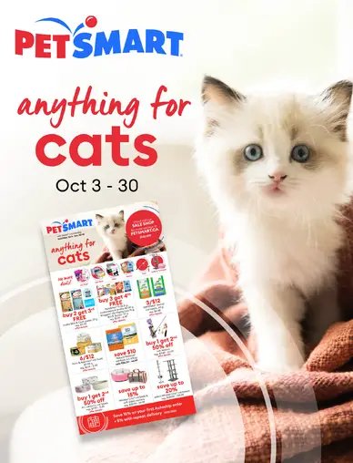 PetSmart Anything for Cats