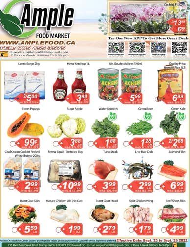 Ample Food Market Weekly Flyer
